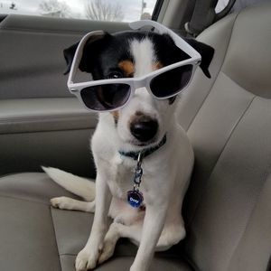 Meet your Posher, Kim